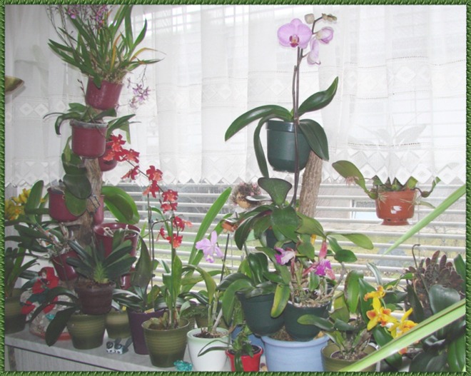 Fensterbank